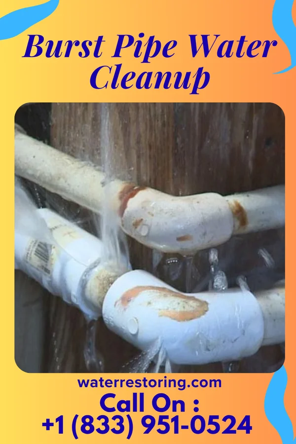 Burst Pipe Water Cleanup in Mendon, OH
