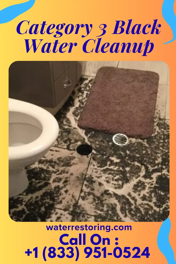 Category 3 Black Water Cleanup in Mendon, OH