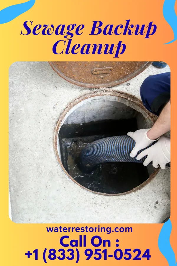 Sewage Backup Cleanup in Mendon, OH