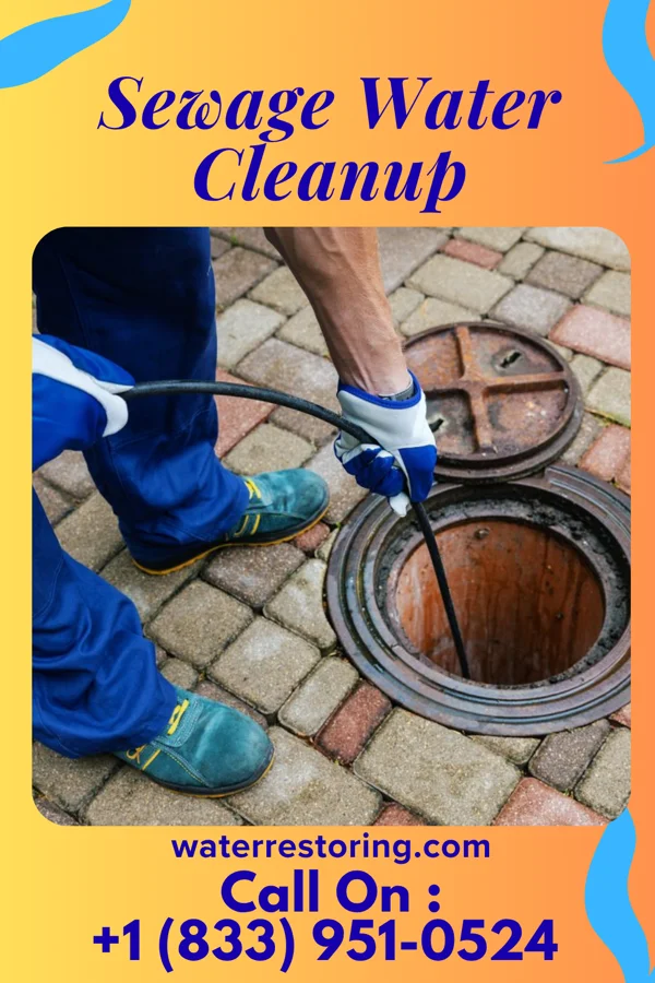 Sewage Water Cleanup in Mendon, OH