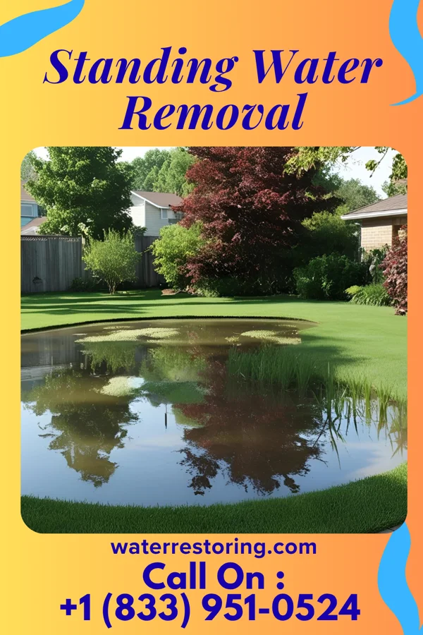 Standing Water Removal in Mendon, OH